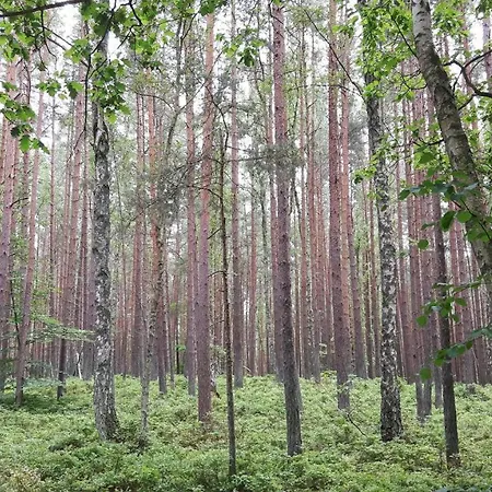 Letniskowe Wiktorek Dziwnówek