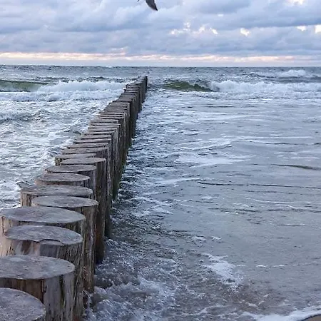 Letniskowe Wiktorek * Dziwnówek