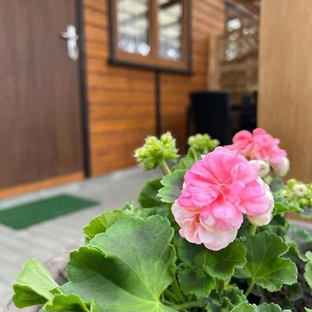 Сasa de vacaciones Letniskowe Wiktorek