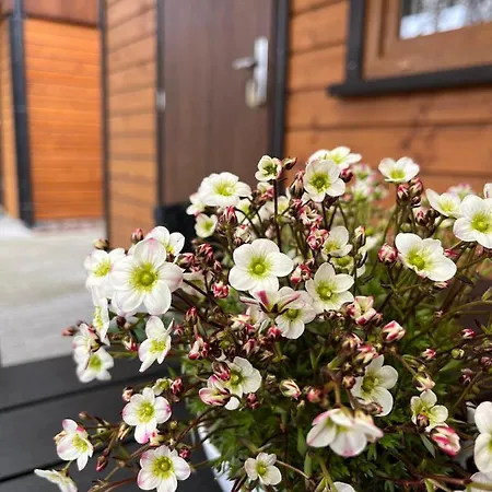 Hébergement de vacances Letniskowe Wiktorek Dziwnówek