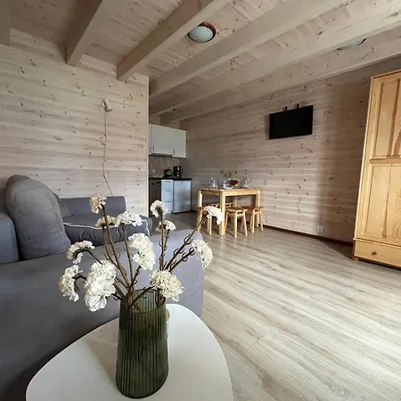 Letniskowe Wiktorek Сasa de vacaciones *