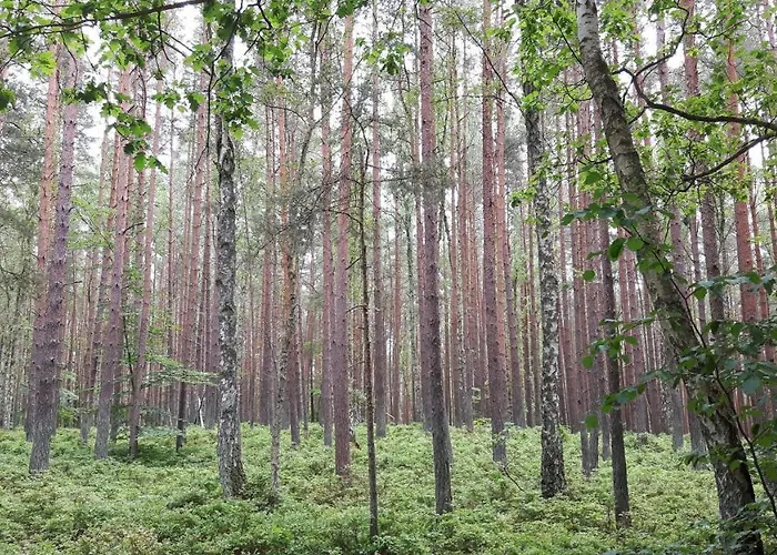 Letniskowe Wiktorek Dziwnówek