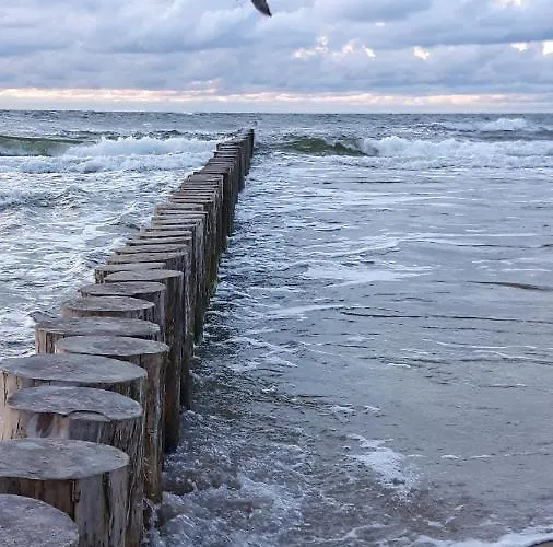 Letniskowe Wiktorek * Dziwnówek