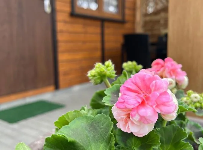 Dom wakacyjny Letniskowe Wiktorek