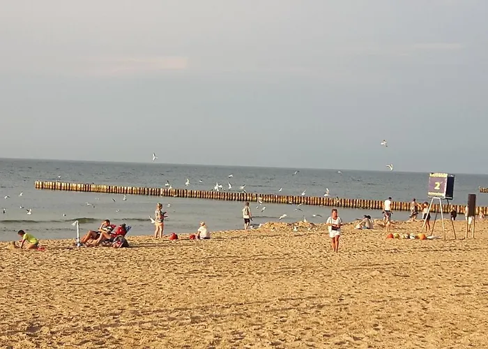 Letniskowe Wiktorek Сasa de vacaciones *